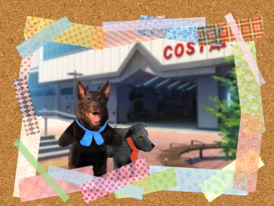 生き物ルーム第29