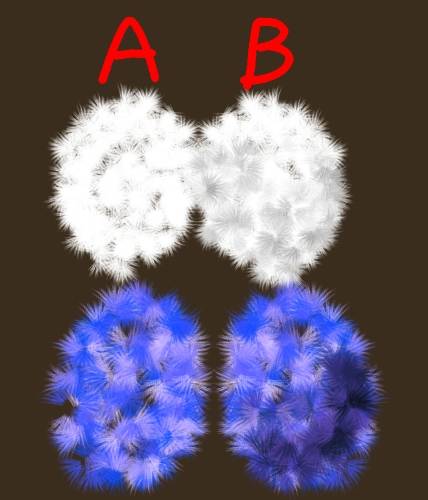 生き物ルーム28