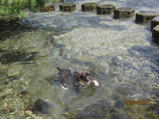 生き物ルーム第29