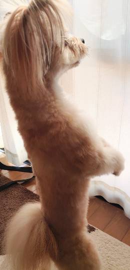 生き物ルーム第29