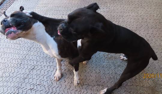 生き物ルーム第27