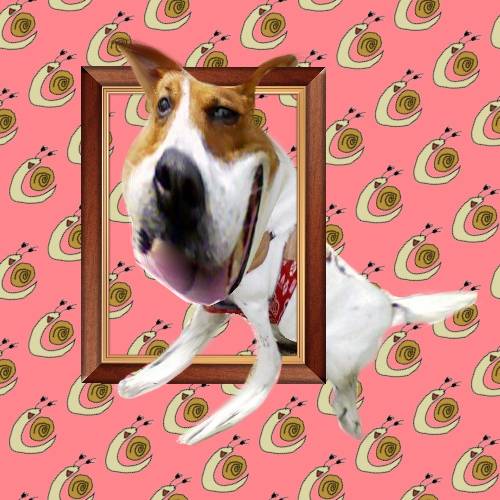 生き物ルーム第26