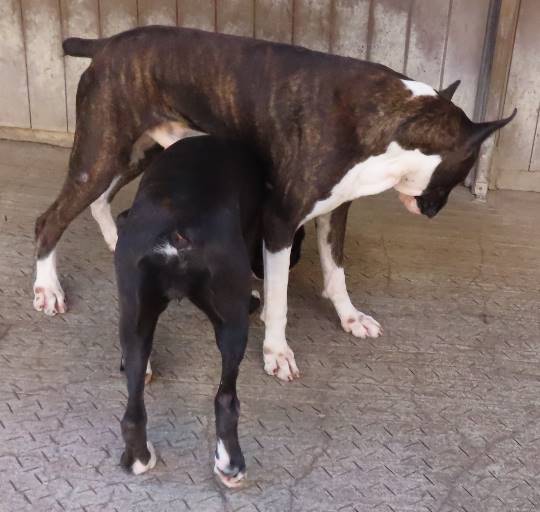 生き物ルーム第27