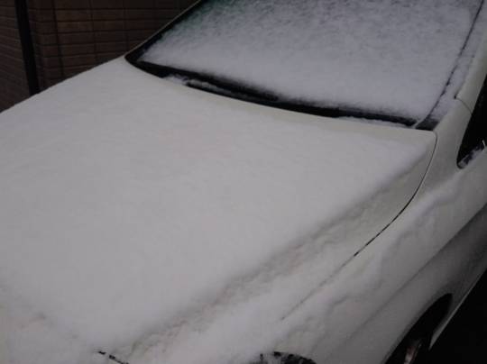 コストコユーザーのドンキ♡♡ロピア 雑談