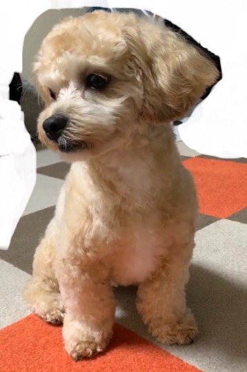 生き物ルーム第27