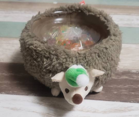 マスク同窓会詰所兼ニューフェイス歓迎所6