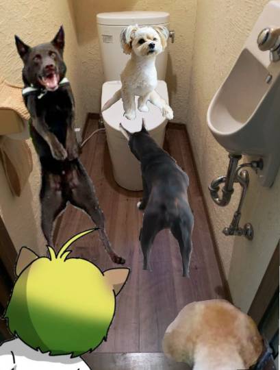 生き物ルーム第26