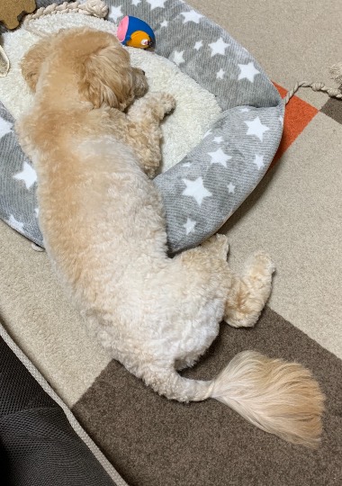 生き物ルーム第27