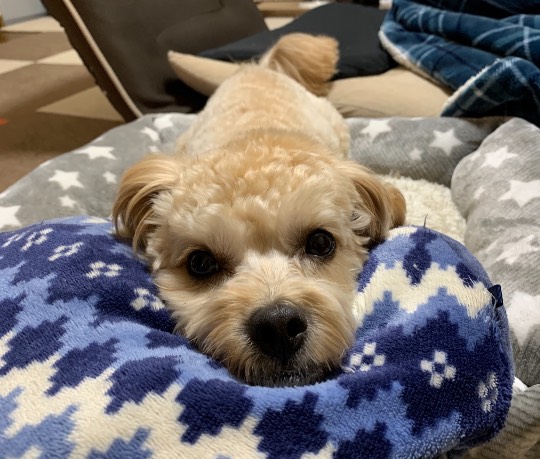 生き物ルーム第29