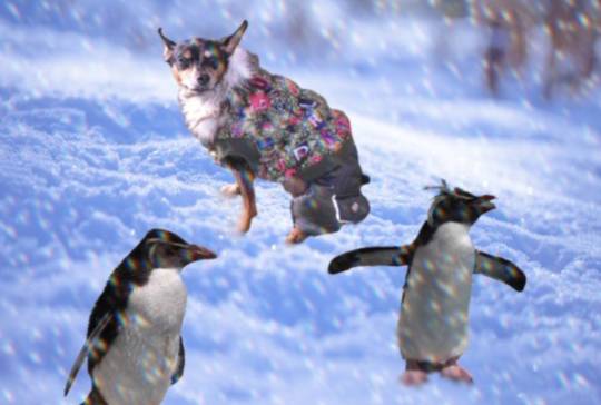 生き物ルーム28