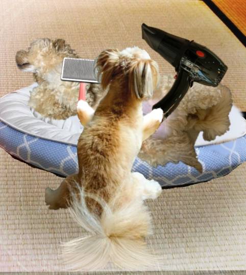 生き物ルーム28