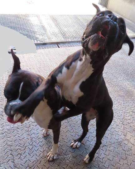 生き物ルーム第29