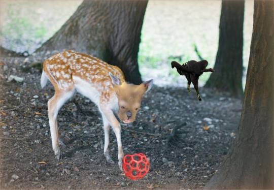 生き物ルーム28