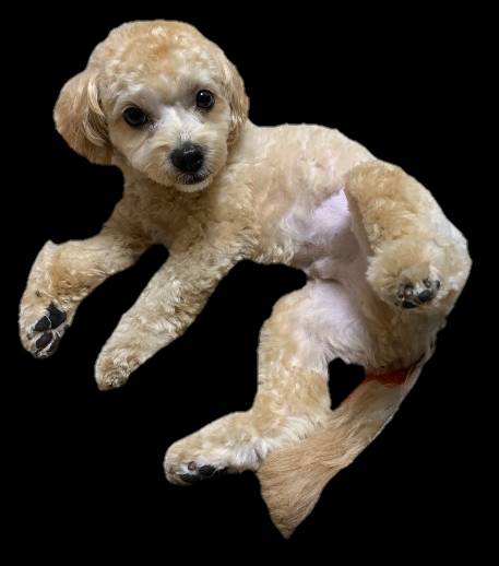 生き物ルーム第27