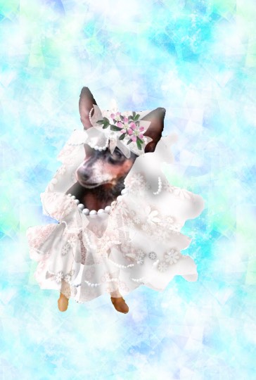 生き物ルーム第27