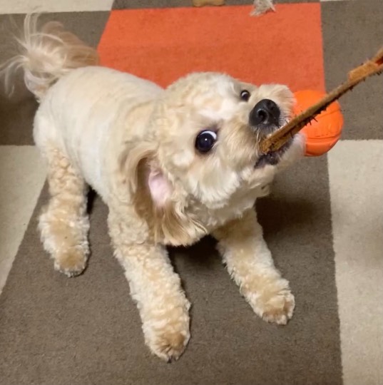 生き物ルーム28