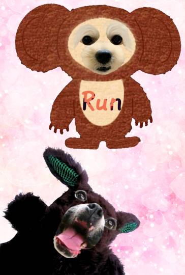 生き物ルーム第29