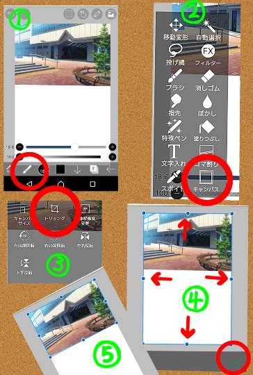 生き物ルーム第27