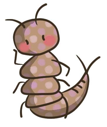 生き物ルーム第29