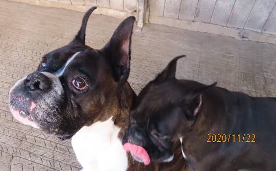 生き物ルーム第29