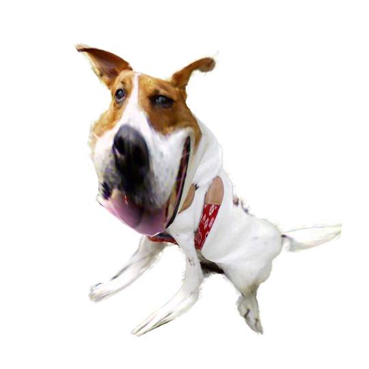 生き物ルーム第26