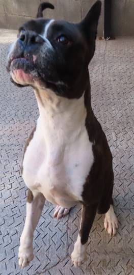 生き物ルーム第27