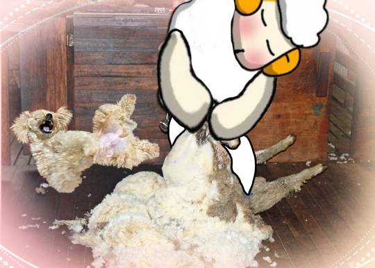 生き物ルーム28