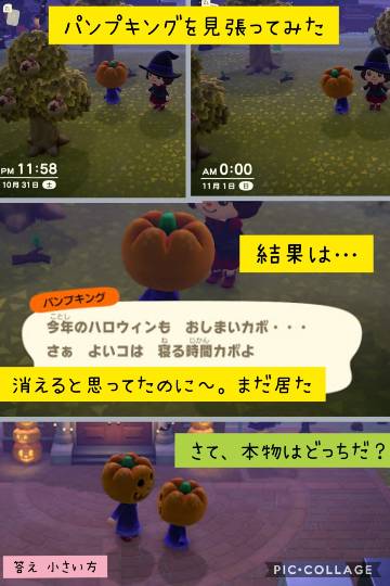 あつまれゲーム好きさんの森Ⅵ 雑談もあるばってん