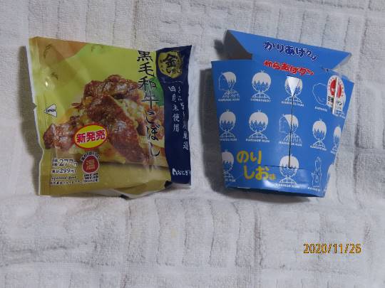 生き物ルーム第29