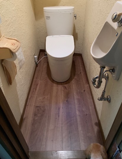 生き物ルーム第26