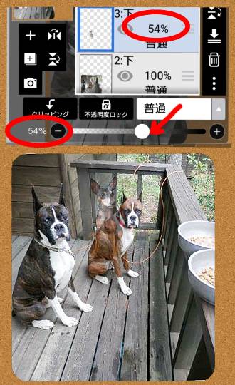 生き物ルーム第29