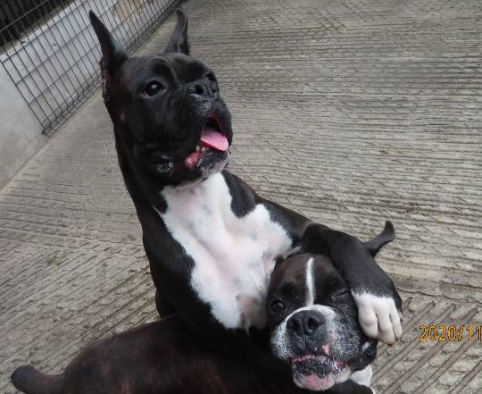 生き物ルーム28