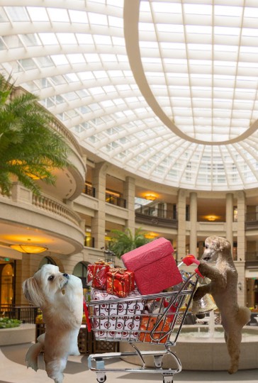 生き物ルーム28