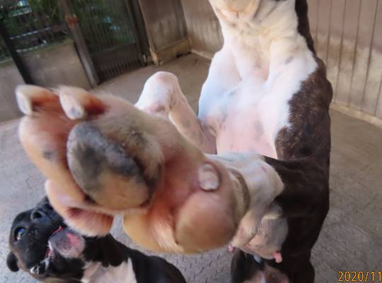 生き物ルーム第27