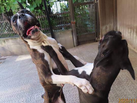 生き物ルーム第27