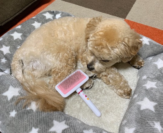 生き物ルーム28