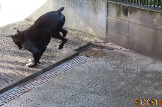 生き物ルーム第29