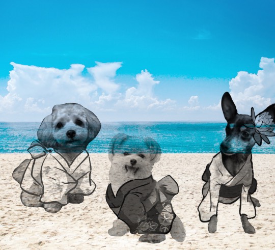 生き物ルーム第27