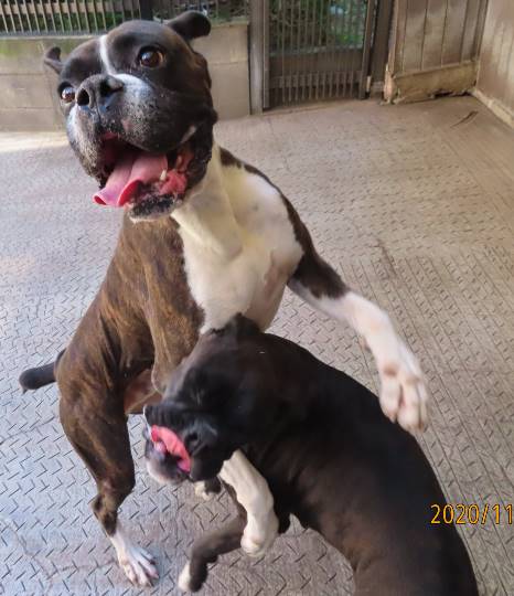 生き物ルーム第27