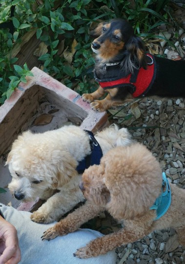 生き物ルーム第29