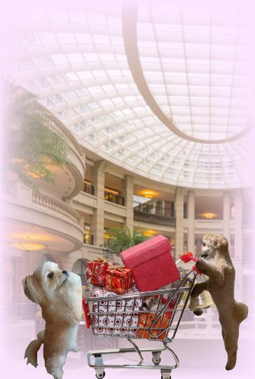 生き物ルーム第29