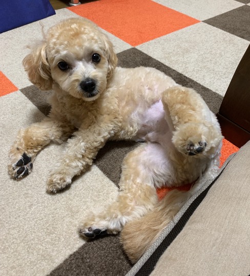 生き物ルーム第27