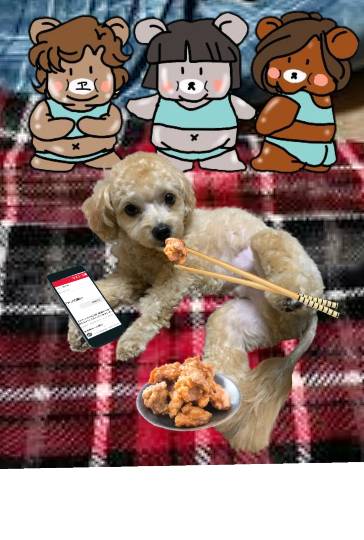 生き物ルーム第27