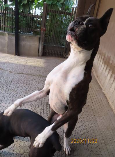 生き物ルーム第29