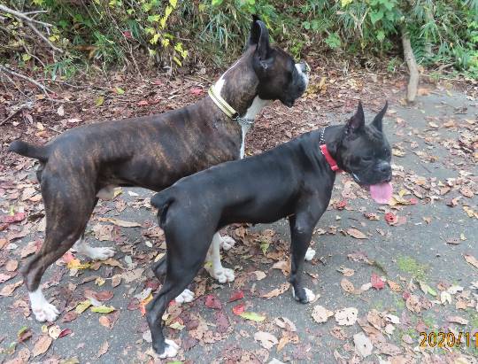 生き物ルーム28