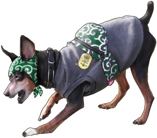 生き物ルーム第27