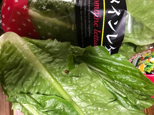 11月23日(月曜日) 中部空港倉庫店|おはようございます。
本日午後に訪問予...