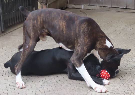 生き物ルーム28