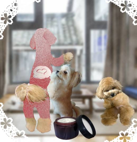 生き物ルーム28