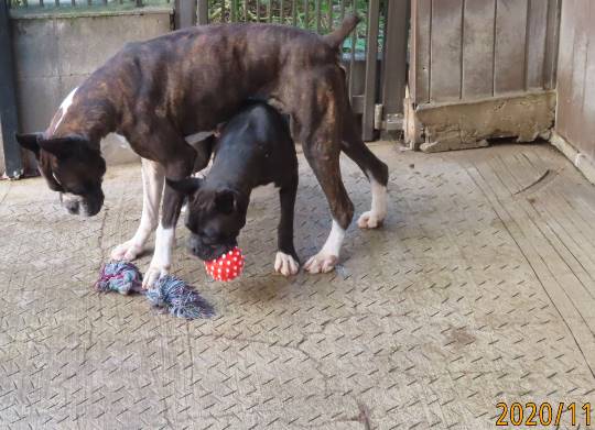 生き物ルーム第29